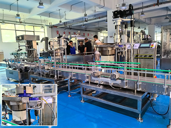 自动上盖旋盖机